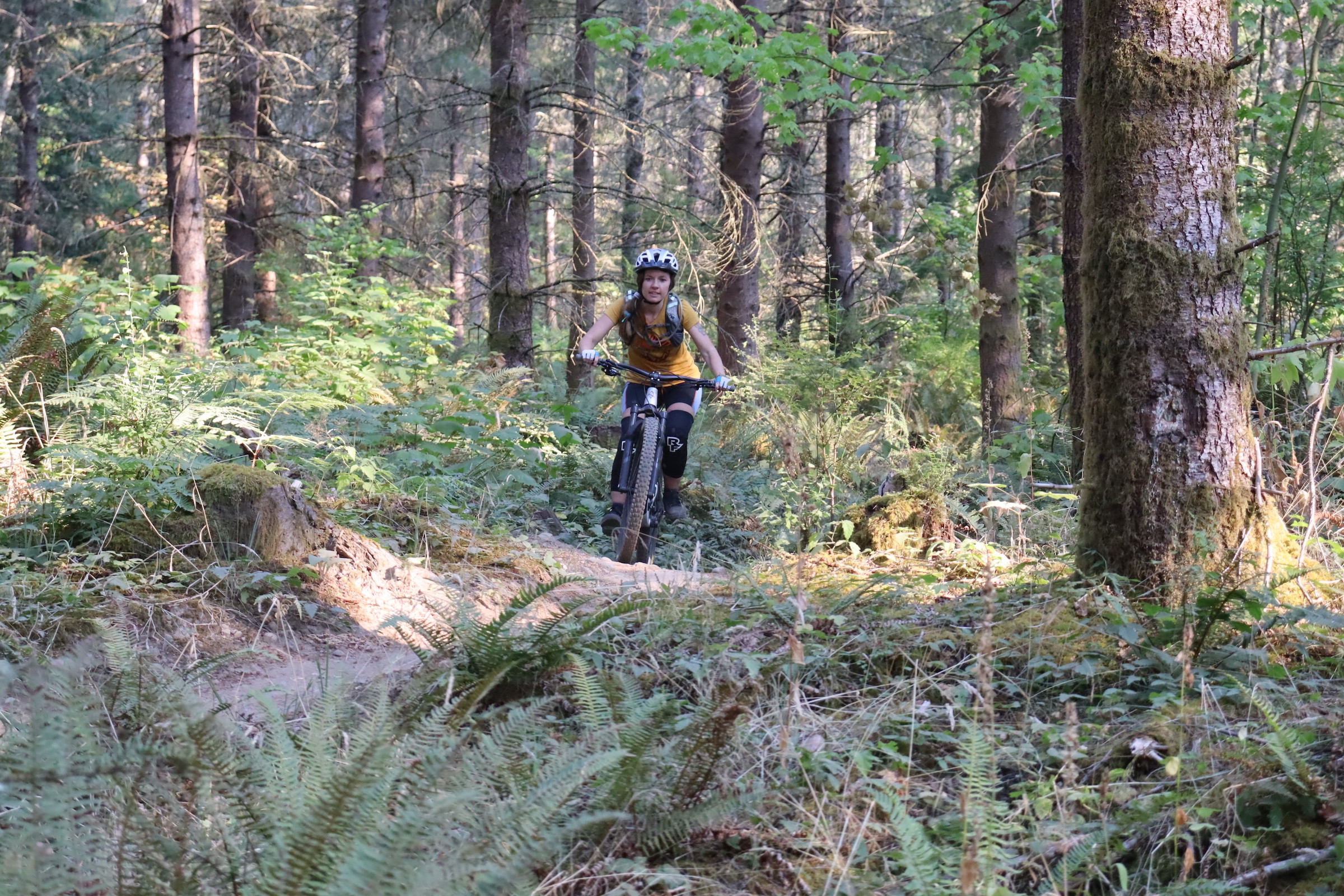 Mountain Bike Lessons