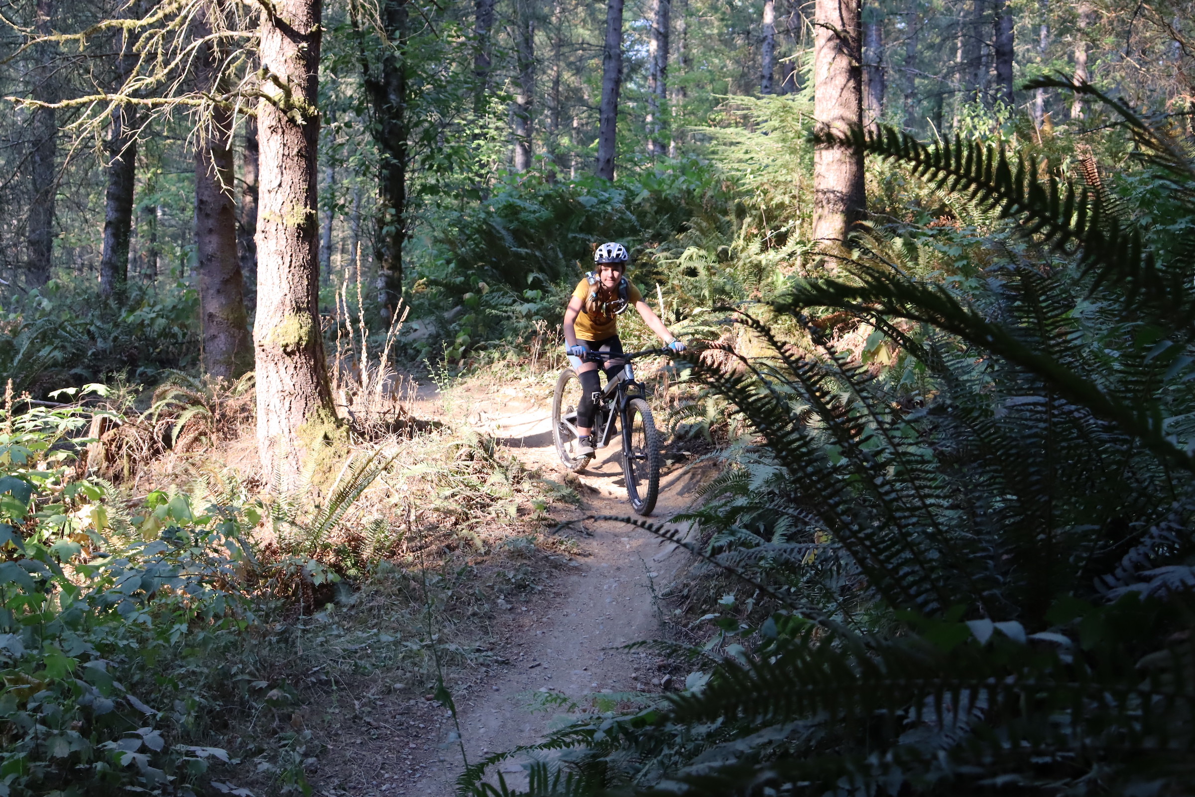 Mountain Bike Lessons
